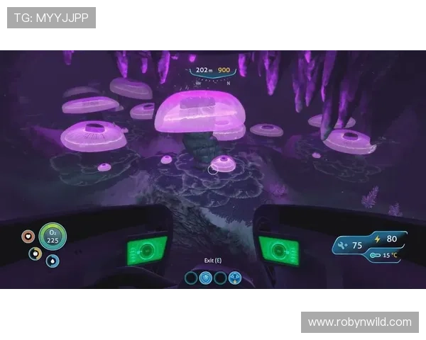 爱游戏线上官网最新版本，全面升级带你畅享极致游戏体验